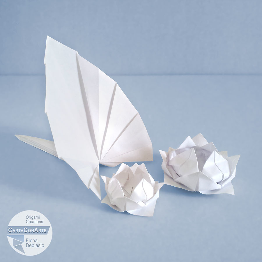 Fiori di loto con foglia